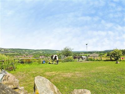 Picture 97